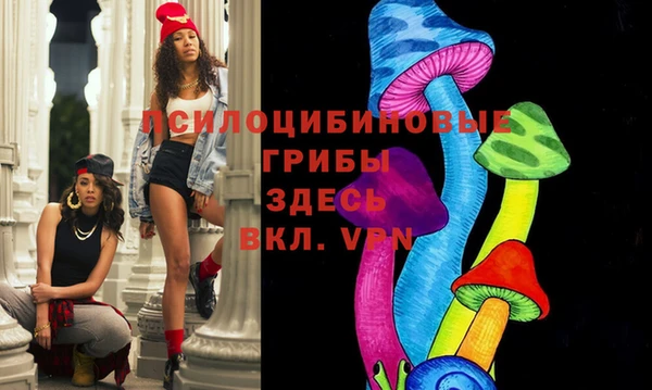 спиды Михайлов