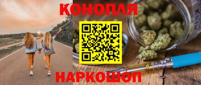 шишки Гатчина