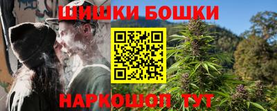 шишки Гатчина