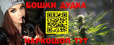 шишки Гатчина