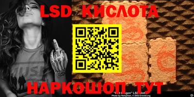 шишки Гатчина