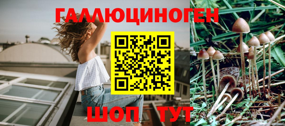 Котельники  Псилоцибиновые грибы мухоморы  Вход с VPN 